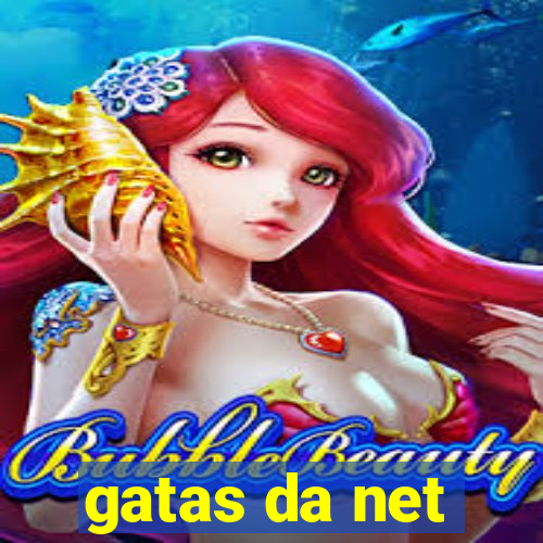 gatas da net